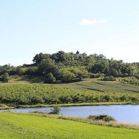 Castelnaud-de-Gratecambe Moulin De Rouzeヴィラ エクステリア 写真