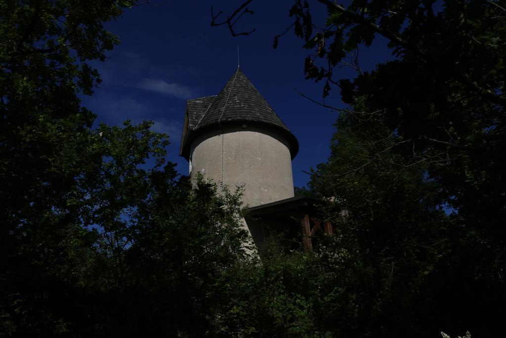 Castelnaud-de-Gratecambe Moulin De Rouzeヴィラ 部屋 写真