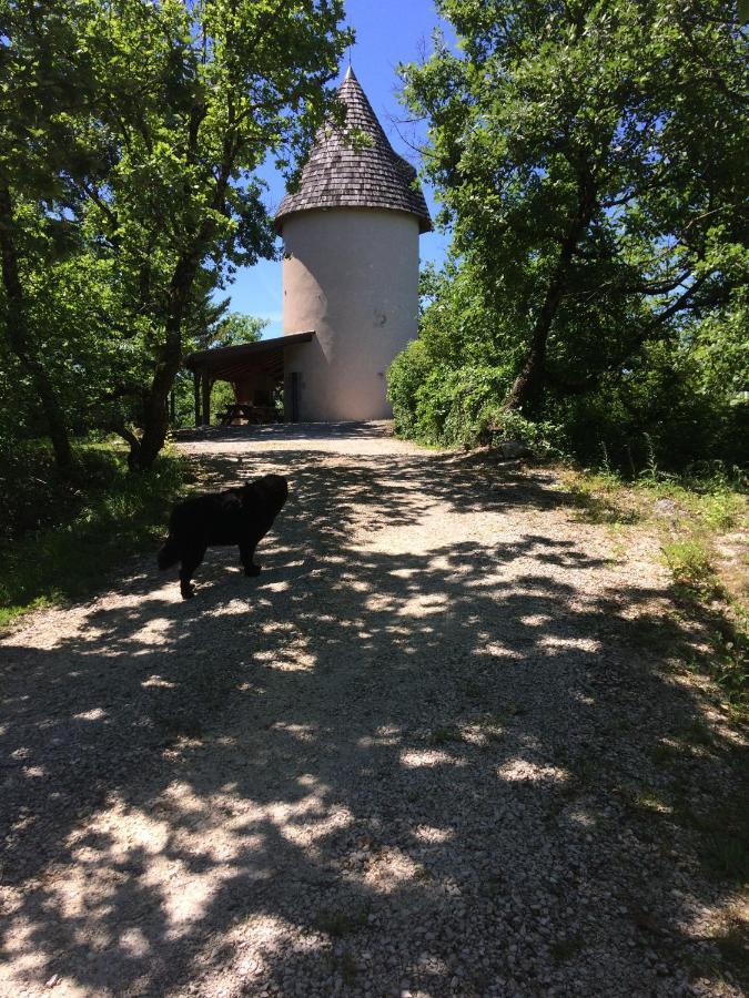 Castelnaud-de-Gratecambe Moulin De Rouzeヴィラ エクステリア 写真